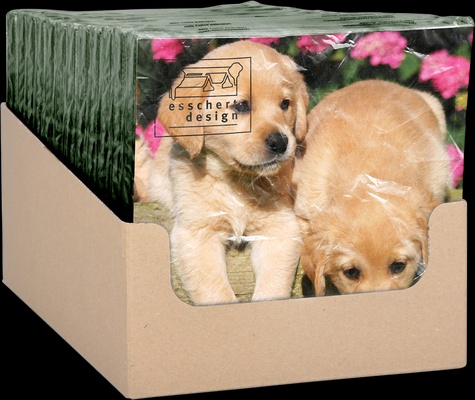 Servilletas de Papel Cachorritos 33x33cm