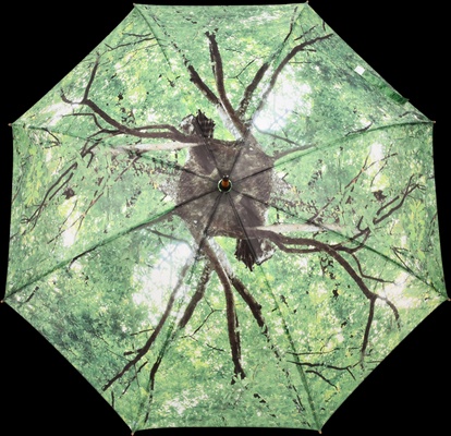 Paraguas Dise�o Arbol