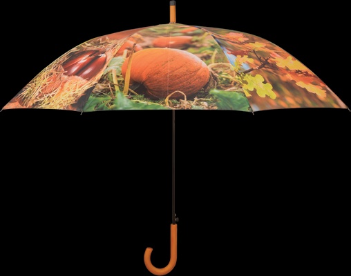 Paraguas Dise�o Oto�o