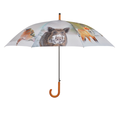 Paraguas Dise�o Invernal