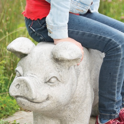 Banco Dise�o Cerdito