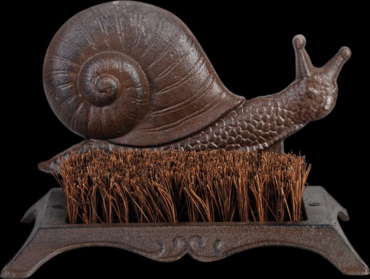 Caracol Limpiabotas