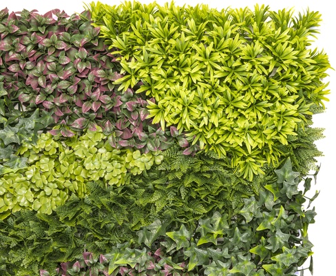 Jardin Vertical Costa 1x1 Metro