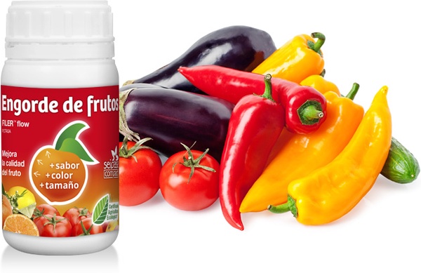 Bioestimulante Engorde Frutos Filerflow 250 ml