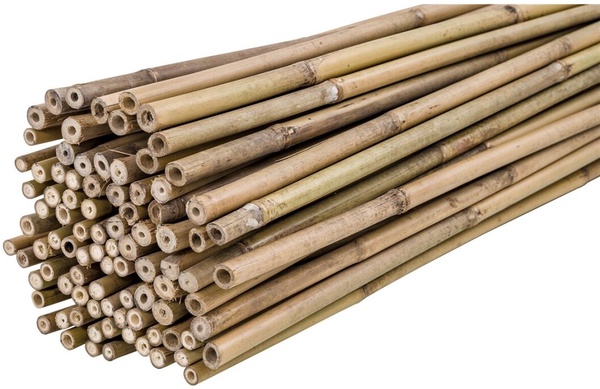 Pack 200 Tutores Bambu 180 cm Grosor 12-14mm 