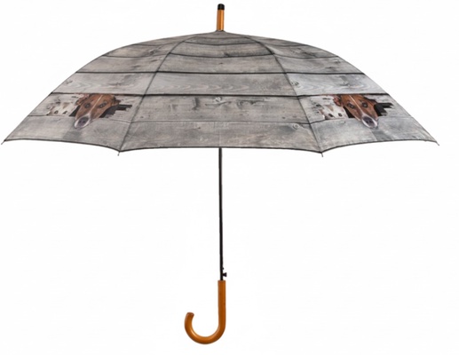 Paraguas Perro y Gato