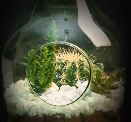 Set Terrario 3L Esschert