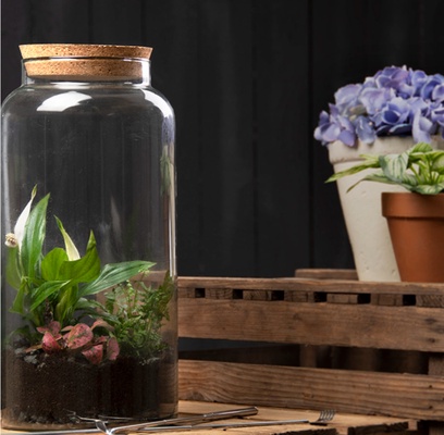 Botella Terrario Medio Abierta L