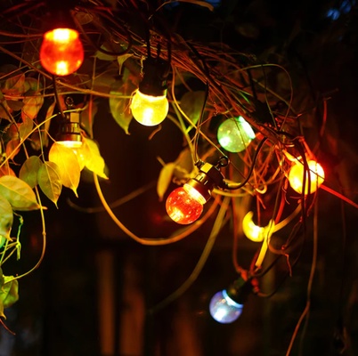 Tira Luz Led Baja Tension 8m 2700K