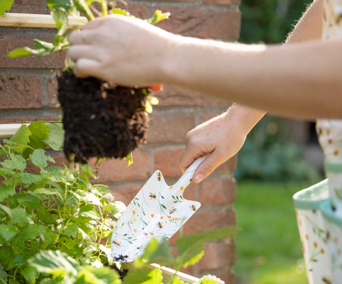 Paleta con Estampado de Abejas