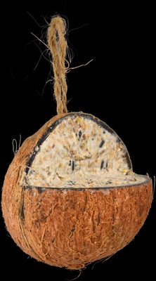 Coco Relleno