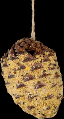 Cono de Pino Relleno