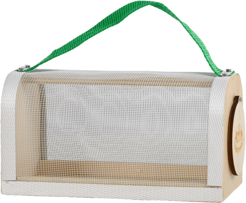 Caja de Madera Estudio Insectos 