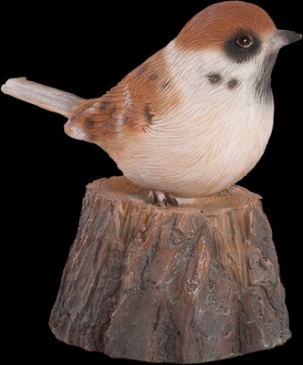 Pajaro de Bienvenida Cantarin