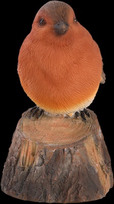 Pajaro de Bienvenida Cantarin