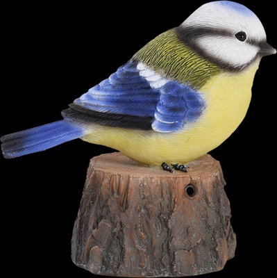 Pajaro de Bienvenida Cantarin