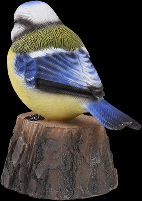 Pajaro de Bienvenida Cantarin