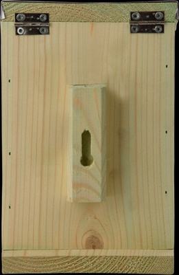 Comedero para Ardillas