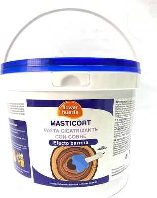 Pasta Cicatrizante Masticort con Cobre 5Kg