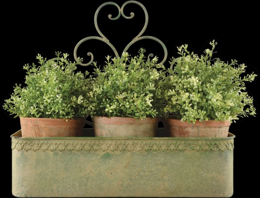 Maceta Pared Vintage Verde Metal Envejecido L