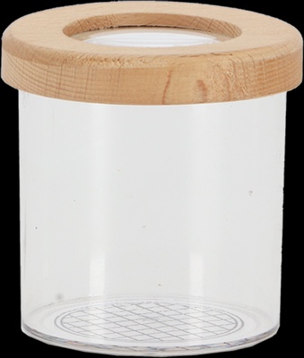 Caja de Estudio de Insectos Madera