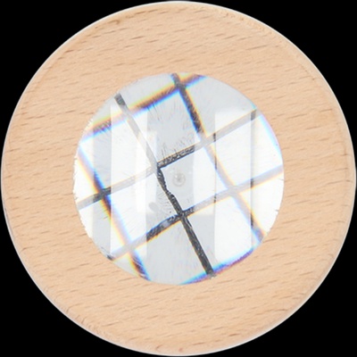 Caja de Estudio de Insectos Madera