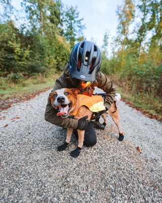 Bota Protector bootie