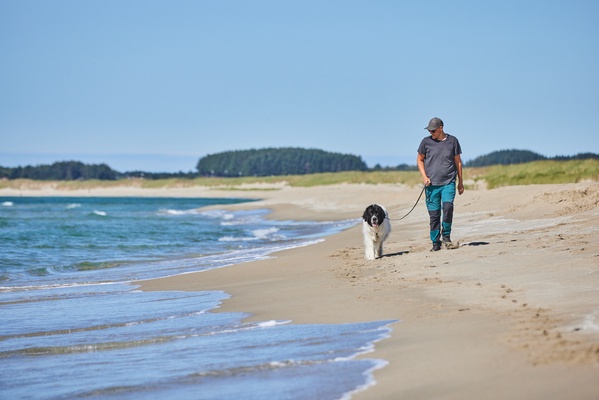 Correa Move Leash Negro