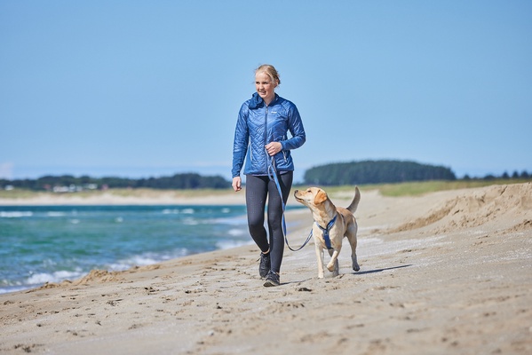 Arnes perros Non-stop Line harness 5.0 verde