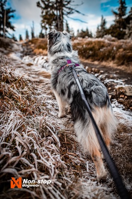 Arnes perros Non-stop Line harness 5.0 verde