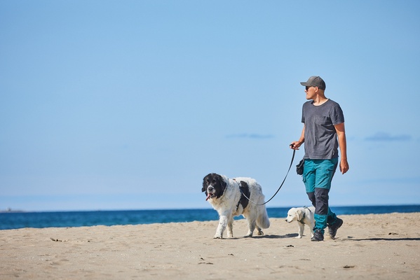 Correa Move Leash Verde Talla 1.5m/15mm