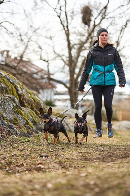Arnes Perros Line harness 5.0 negro talla 5