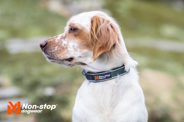 Collar perros Roam collar negro talla XL