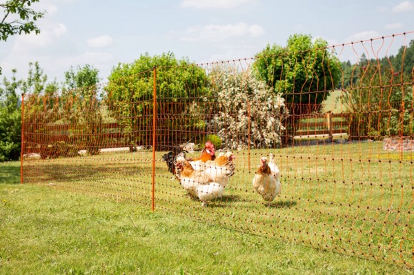 Malla Electrificada para Gallinas 25 metros 106 Cm