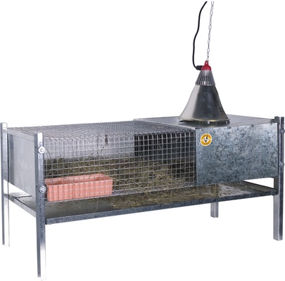 Jaula de Cria para Pollitos y Codornices