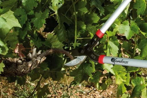 Tijera Poda Kamikaze CH-61