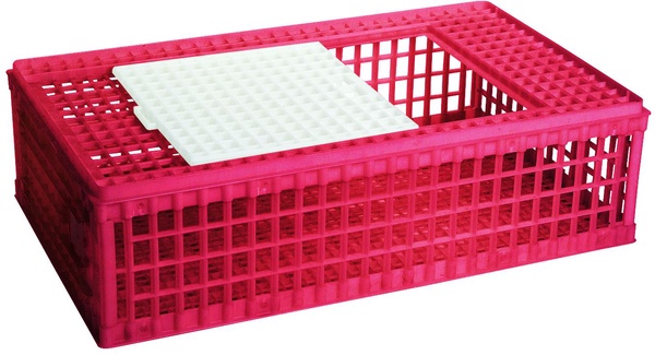 Jaula Plastico para Transporte Aves