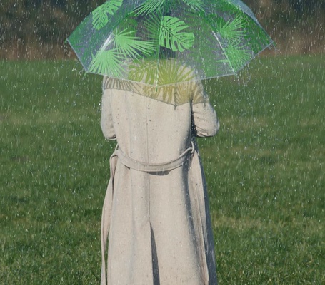 Paraguas Transparente Tropical