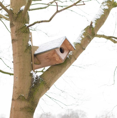 Caja Nido Peque�a Buho