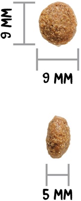 Pienso Perros Ownat Author Cordero Fresco 3 Kg