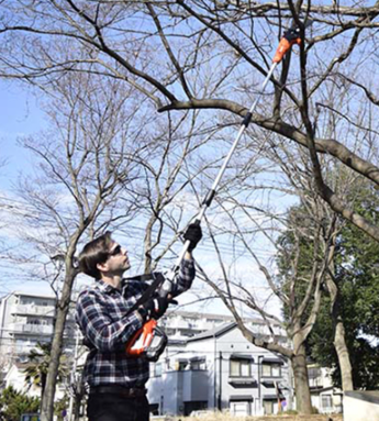 Podadora DPPF 310 40V