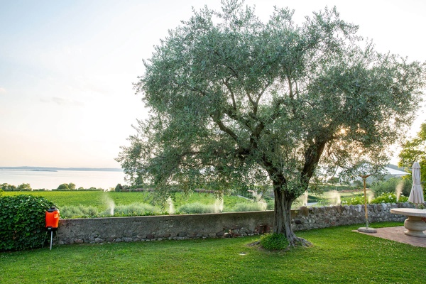 Geyser Nebulizador E-25 MI 21 V 25 Litros