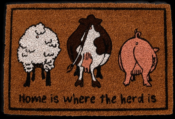 Felpudo Fibra de Coco Reba�o de Granja