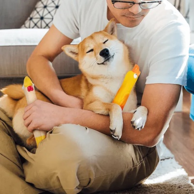Juguete Goma para Perros