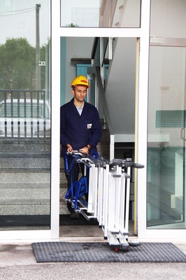 Escalera Telefly Profesional Telescopica Aluminio