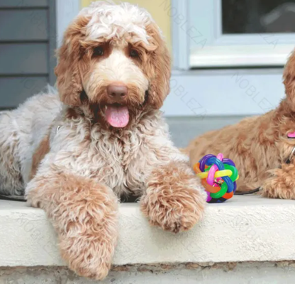 Juguete Pelota con Cascabel Perros S