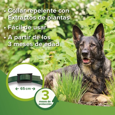 Beaphar Collar Repelente Parasitos Perro - 65 cm