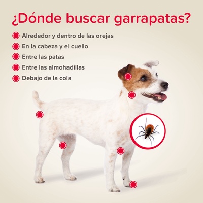 Pack 2 Unidades Canishield Collar Antiparasitario Perro Grande - 65cm