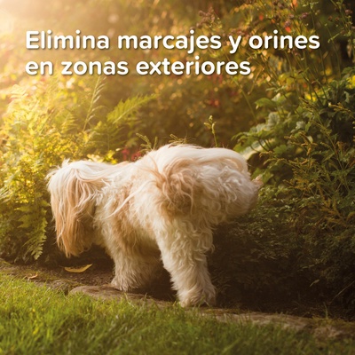 Beaphar Spray Educador Exterior 400ml