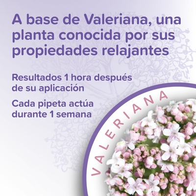 Beaphar Calming Spot On Pipetas Calmantes Gatos 3x0,4ml